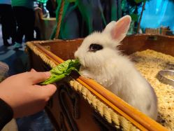 点击看大图 -酷嗒动物文化乐园(cutezoo西溪乐天城店)