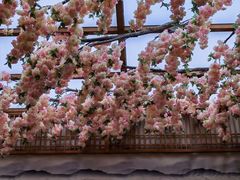 -木子塘汗蒸生活馆(财富港店)