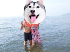 -李官龙王庙海滨旅游度假村
