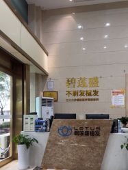 -碧莲盛·不剃发植发