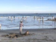 -西涌国际滨海旅游区