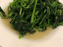 -苔圣园酒家(尊木汇国际艺术广场店)