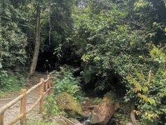 -南丹山森林王国
