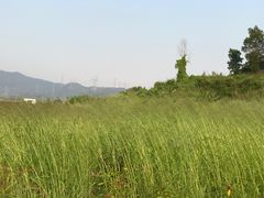 -光明小镇欢乐田园