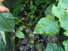 -乡乐园蟹庄·阳澄湖农家乐