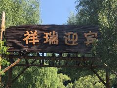 -北京野生动物园