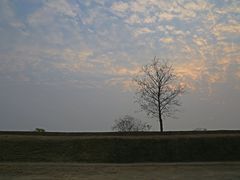 -盘龙城国家考古遗址公园