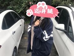 -欢乐松鼠谷