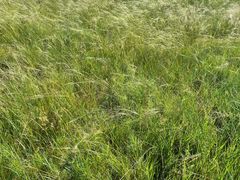 -呼和诺尔旅游景区