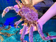 -青蓬海上捞蒸品海鲜城(海岸城店)