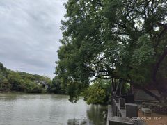 -八大山人梅湖景区
