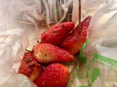 -雪儿钱局泡菜