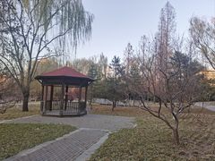 -元大都城垣遗址公园