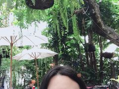 景观位-Fern Forest Cafe