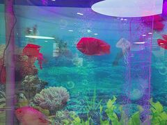 -雅悦齿科(顾村公园店)