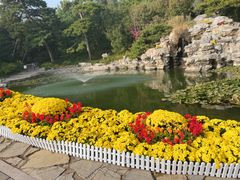 -香山公园