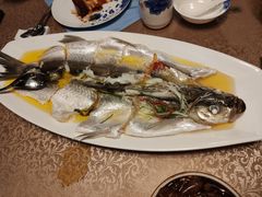 -同庆楼(金宝汇店)