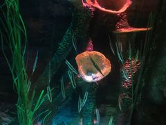 -沈阳海洋探索中心