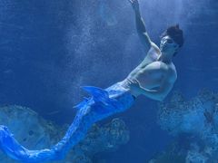 -芜湖新华联大白鲸海洋公园