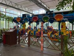 -南宫五洲植物乐园