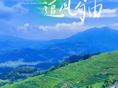 -紫鹊界梯田景区
