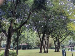 -晓港公园
