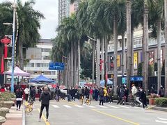 -水围村