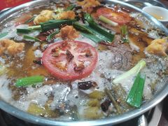 -星云镇雄黑豆花酸菜猪脚