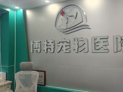 -博特宠物医院24h犬猫全科.骨科·异宠