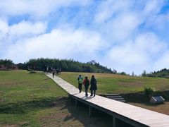 -山沟沟景区