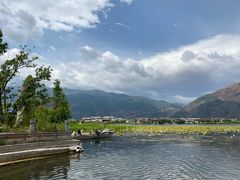 -大理洱源西湖景区