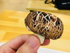 蘑菇包-网易食堂