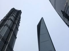 -上海柏悦酒店·世纪100牛排馆