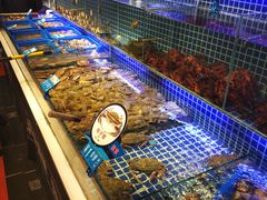 水产区-必点海鲜·鲅鱼水饺(鞍山西道店)