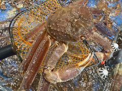 -高佳庄·海鲜酒楼(东港店)