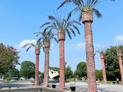 -上海月湖雕塑公园