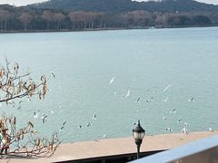 -水上明月·湖景餐厅