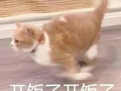 -小小河边鱼(天润城店)