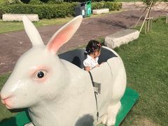 -南京银杏湖乐园