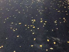 -中关村生命科学园