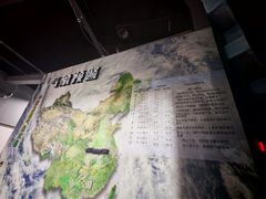-巴克创奇梦工厂