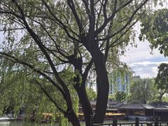 -皇家御河游(紫御湾码头)