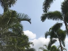 -三亚亚龙湾雅高铂尔曼别墅度假酒店