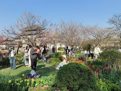 -苏州上方山国家森林公园