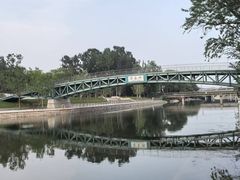 -大望京公园