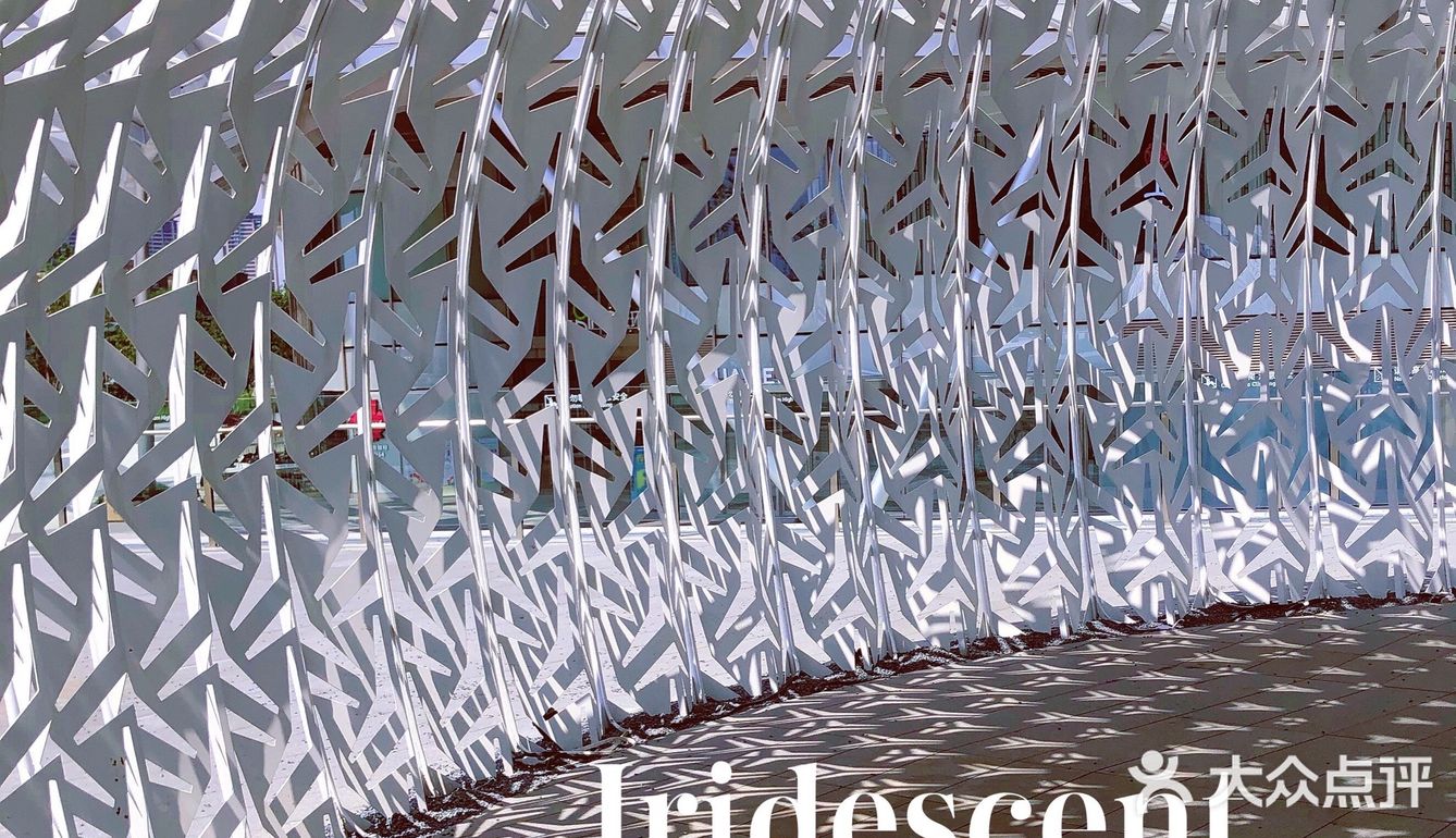 重庆小众秘摄｜0元打卡光环广场巨型钢铁鹦鹉螺