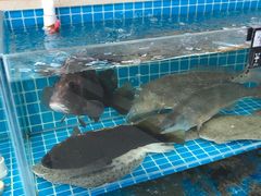 -聚德福海鲜家常菜(刘庄店)