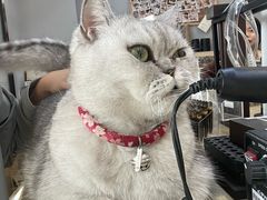 -Oasis绿洲银饰珍珠手作diy(壹方城店)