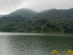 -广州市石门国家森林公园