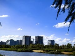 -春花秋色城市公园